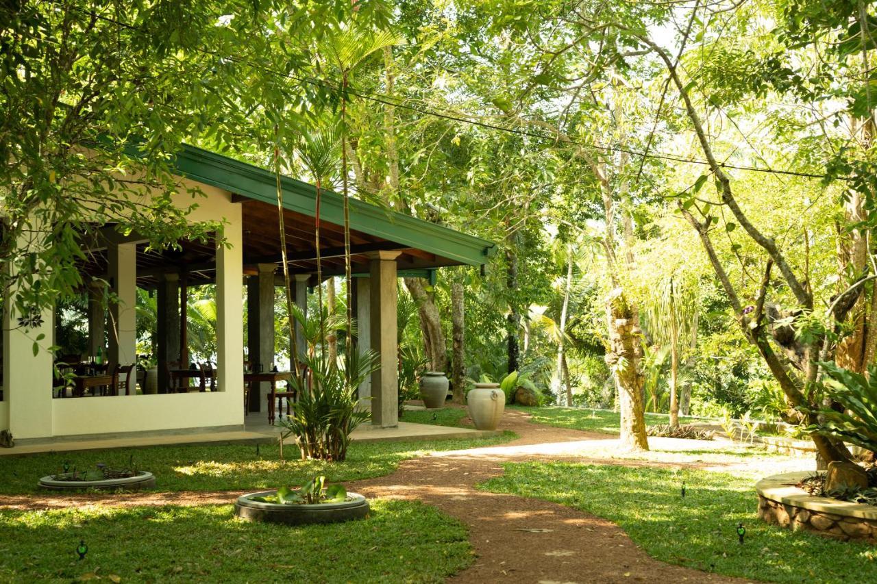 היקדואה Villa Birdlake מראה חיצוני תמונה
