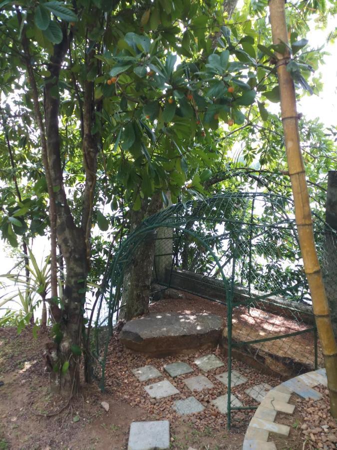 היקדואה Villa Birdlake מראה חיצוני תמונה
