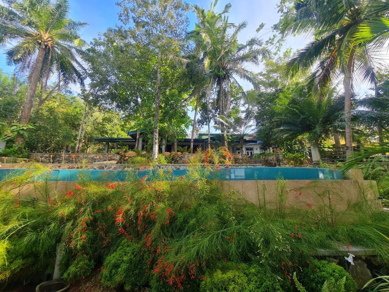 היקדואה Villa Birdlake מראה חיצוני תמונה