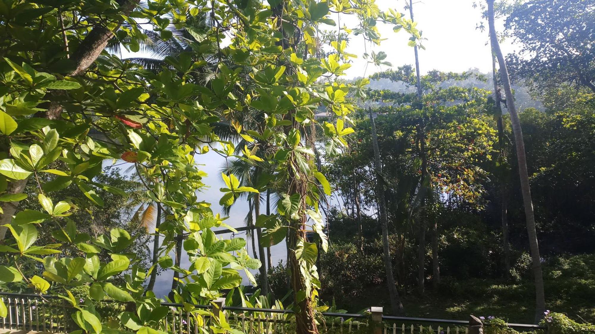 היקדואה Villa Birdlake מראה חיצוני תמונה