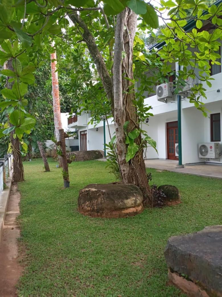 היקדואה Villa Birdlake מראה חיצוני תמונה